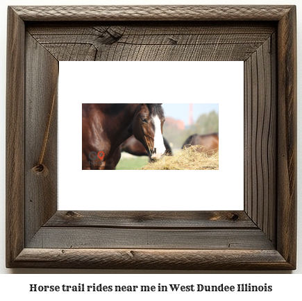 horse trail rides near me in West Dundee, Illinois